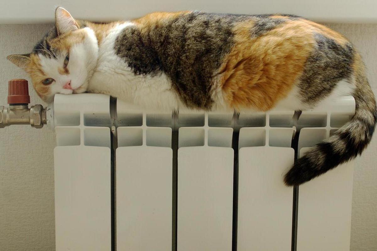 Отопление кот