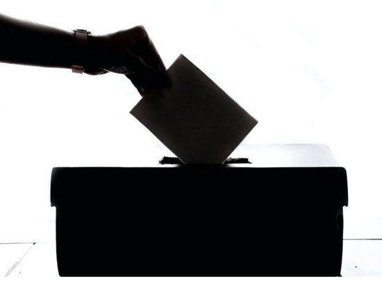 Центризбирком гарантировал тайну волеизъявления при "удаленном" голосовании