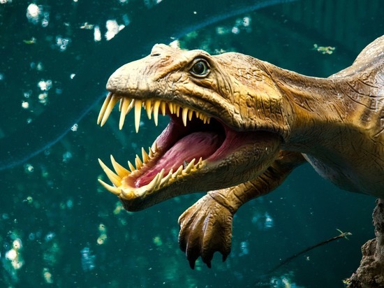 В Оренбургской области нашли останки морских динозавров