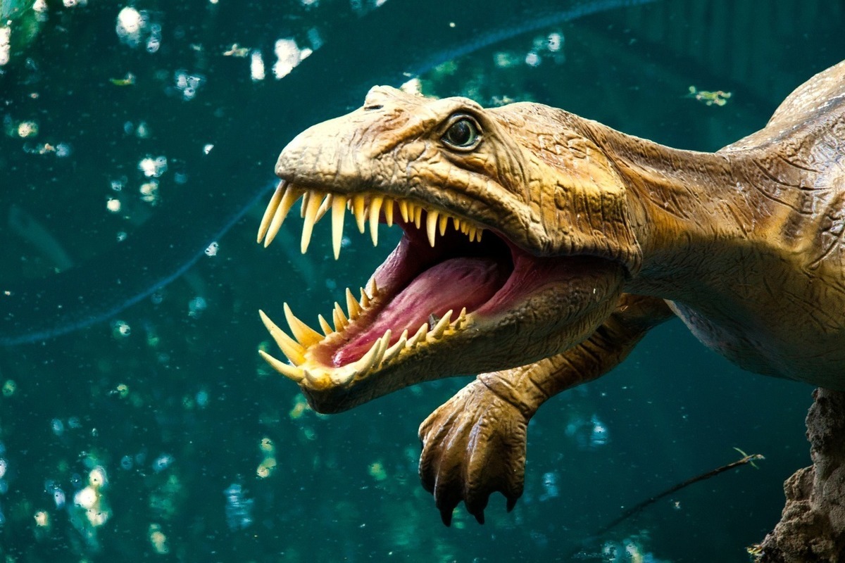 Морские ящеры. Нотозавр мир Юрского периода. Динозавры хищники. Водные динозавры. Морские динозавры.