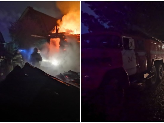 Спасатели потушили крупный пожар в садовом обществе под Новосибирском