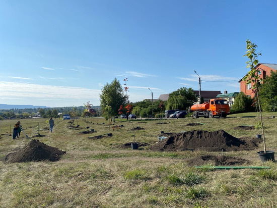 В Белгородской области за день посадили 250 тысяч деревьев