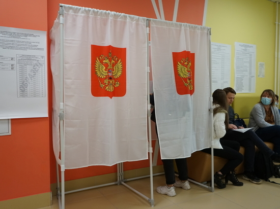 ЦИК отправит в Петербург группу для контроля за выборами