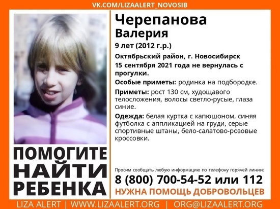 Девятилетняя девочка пропала в Октябрьском районе Новосибирска