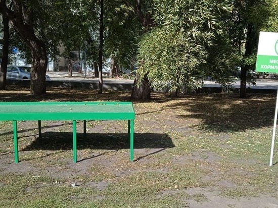 В центре Челябинска организовали места для кормления голубей