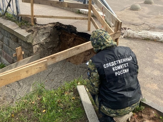 СК выяснит, почему исторический мост под Новгородом пришел в бедственное состояние