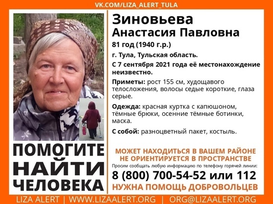В Тульской области ищут пропавшую 81-летнюю женщину