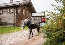 Питерское лето 2021 года порадовало горожан жаркими и солнечными днями. Но на дворе уже осень, а жажда понежиться на солнце или просто попутешествовать осталась. «МК в Питере» узнал, как можно поймать лето и запастись приятными воспоминаниями, даже если у вас в распоряжении совсем немного свободного времени.