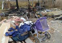 Новосибирский районный суд вынес приговор в отношении Марины и Андрея Аблизиных, чьи дети сгорели в строительном вагончике рядом с садовым обществом «Звездочка-2»