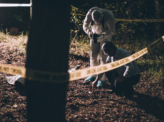 В лесу у Кайкино найдены останки мужчины с полотенцем и гелем для бритья