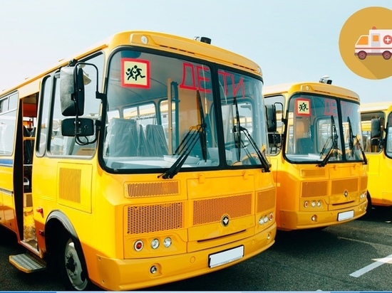 Новые школьные автобусы и машины скорой помощи получит Псковская область