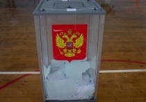 С 17 по 19 сентября в Барнауле начинаются выборы депутатов в АКЗС и в Госдуму