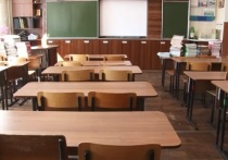 Пять алтайских школ закрыли из-за всплеска заболеваемости ОРВИ