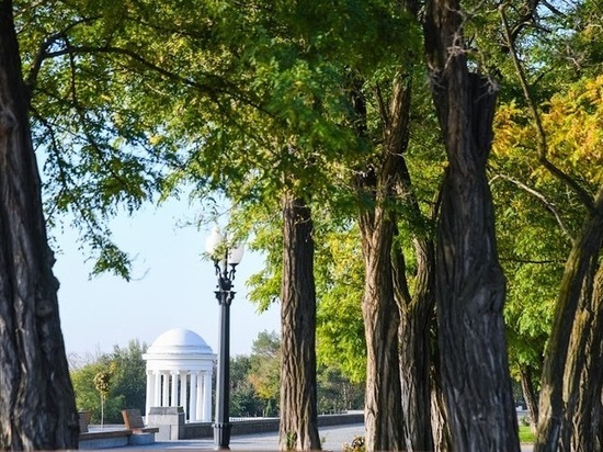 В Волгограде ожидается солнечная погода при +18 градусах в пятницу