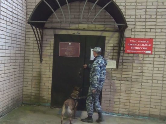 Новгородские полицейские заработали в усиленном режиме из-за выборов