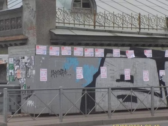 Расклейщиков агитационных материалов на Рижском проспекте  задержали в Пскове