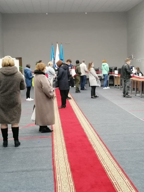 Больше 25%: первые итоги голосования подвели на Ямале