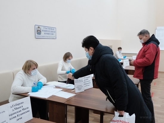 Явка на выборах в Новгородской области приблизилась к 9%