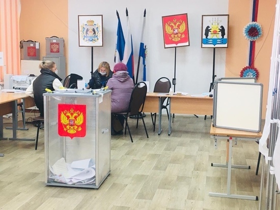 Татьяна Лебедева объяснила, почему солдат в Боровичах «привели голосовать строем»
