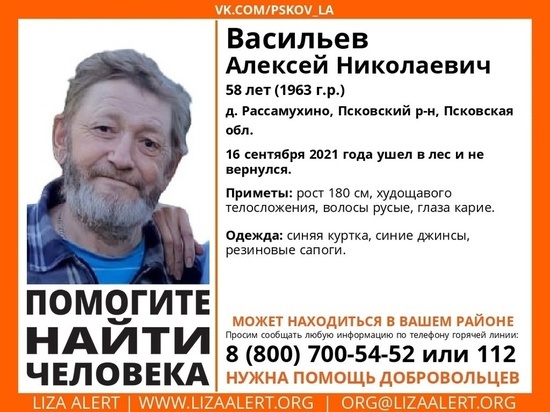 58-летний житель Псковского района ушел в лес и не вернулся