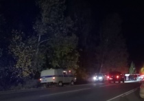 В Енисейском районе Красноярского края произошло смертельное ДТП. Накануне в вечернее время водитель сбил пешехода, который шел по проезжей части в попутном направлении автомобиля.