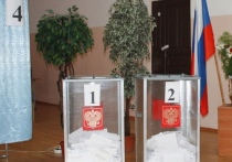В Забайкалье за полтора дня проголосовали почти 20% избирателей
