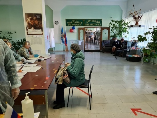 О ходе голосования рассказали в четырех районах Псковской области