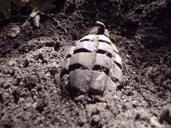 В Демидове нашли оборонительную гранату времен войны