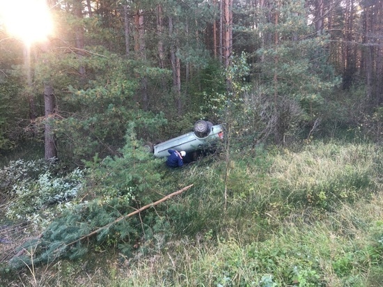 ДТП с участием легкового автомобиля произошло в Псковском районе