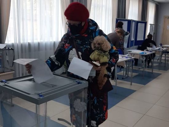 Почти 250 тысяч человек уже проголосовали на выборах в Ленобласти