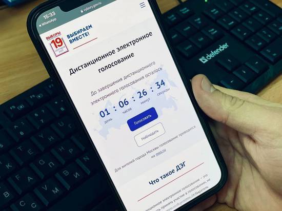 «Единая Россия»: онлайн-голосование — будущее выборного процесса в России