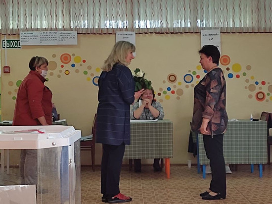 Явка на выборах в Рязанской области на 15:00 18 сентября составила 27,86%
