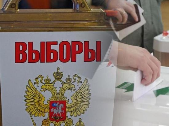 Председатель краевой Общественной палаты оценила ход выборов на Кубани