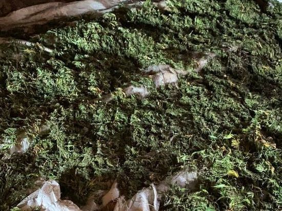 Джентельменский набор: наркотики и порох нашли у жителя ЕАО