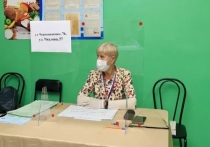 Итоговая явка за два дня выборов в Алтайском крае составила 21,53%