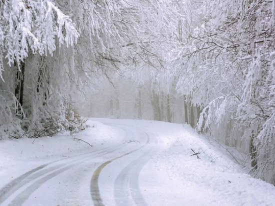 Выпал снег, работает спецтехника: дорожники призывают водителей быть очень осторожными на трассах Ямала