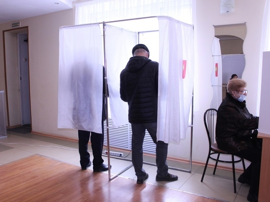 Явка на выборах в Новгородской области приблизилась к 25%