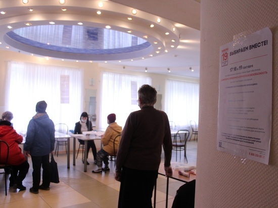 Названы новгородские муниципалитеты с наименьшей явкой на выборах