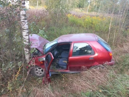 Пассажир автомобиля пострадал в ДТП в Псковском районе