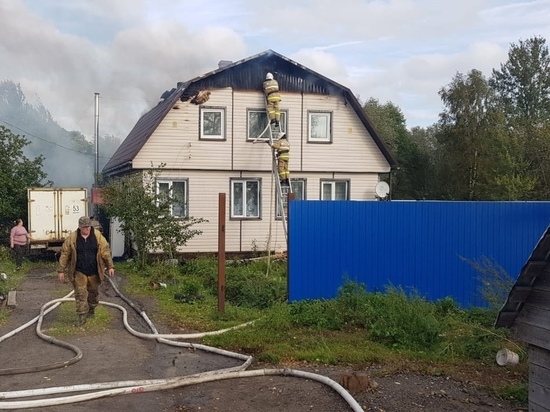 Пожарные спасли от огня дом в любытинской деревне