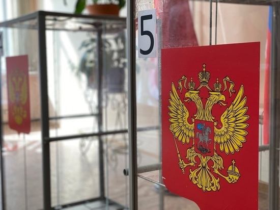 Голосование в Алексинском районе проходит в спокойной обстановке