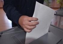 В Забайкалье на избирательные участки пришли более 36% всех избирателей