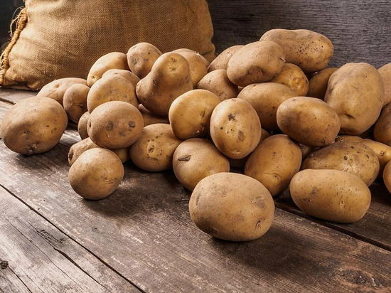 Жители Свердловской области будут обеспечены местным урожаем картошки