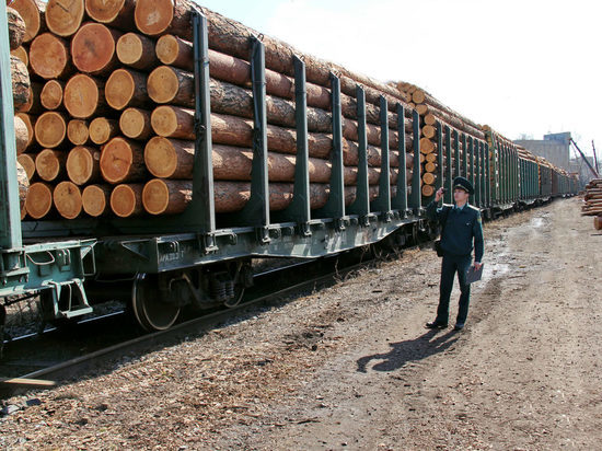 В Костромской области отменен карантин по экспорту леса