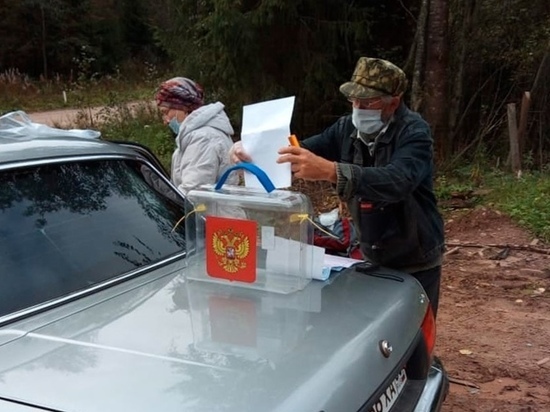 Новгородец прошагал 16 км ради голосования