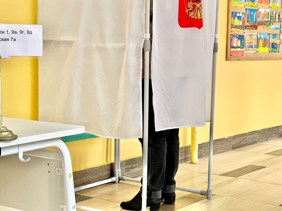 Выборы в Ефремовском районе проходят без нарушений