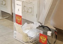В Белгородской области проходит третий день голосования