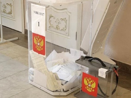 В Белгородской области проголосовало больше 535 тысяч человек