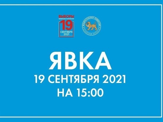 Явка на выборах в Псковское областное Собрание превысила 36%