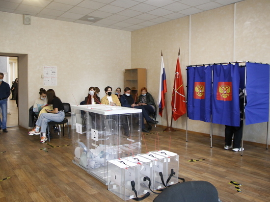 Председатель ЦИК Памфилова заявила о «пятой колонне» в петербургском избиркоме